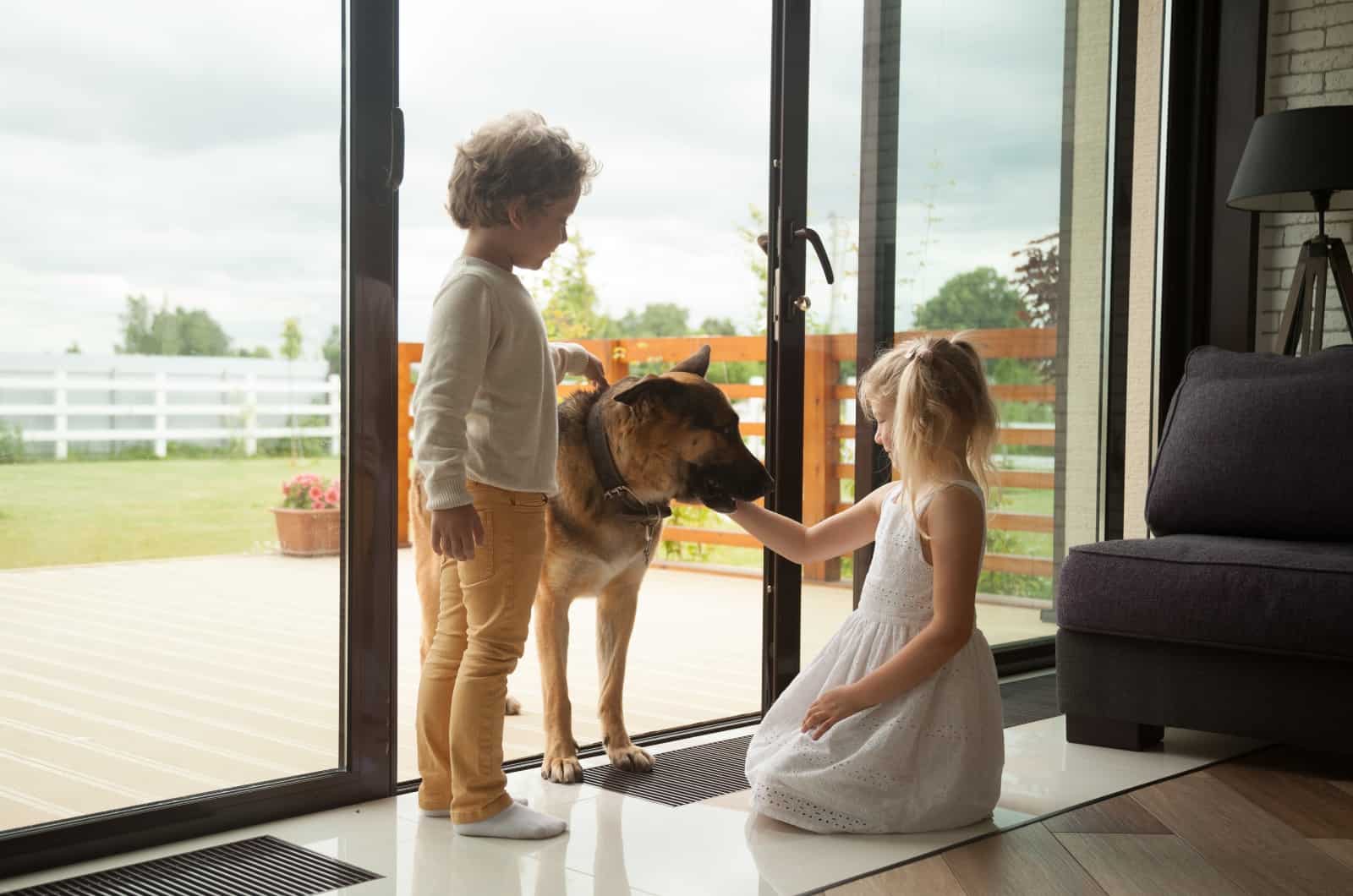 kids playing German Shepherd