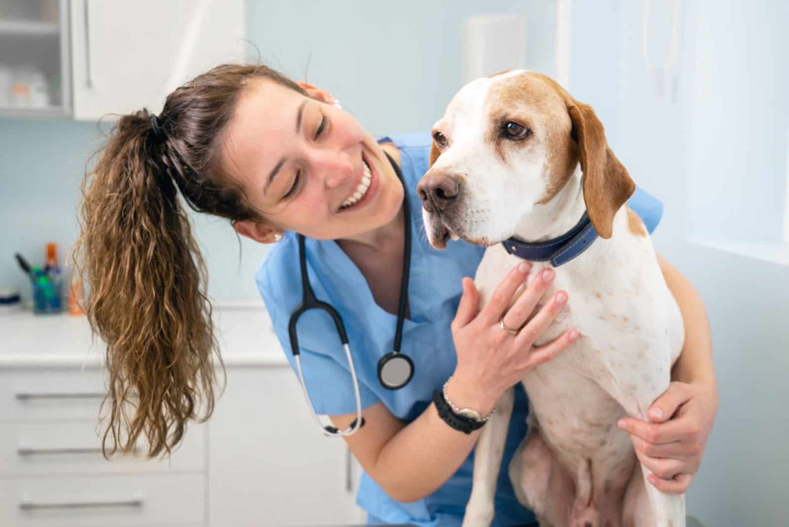 Young happy veterinary nurse smiling while playing with a dog.