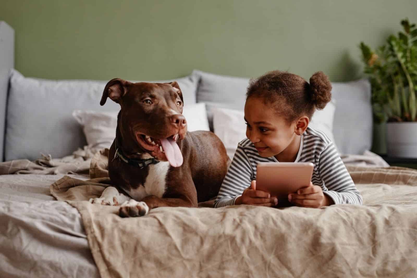 a little girl is lying on a bed with a pit bull
