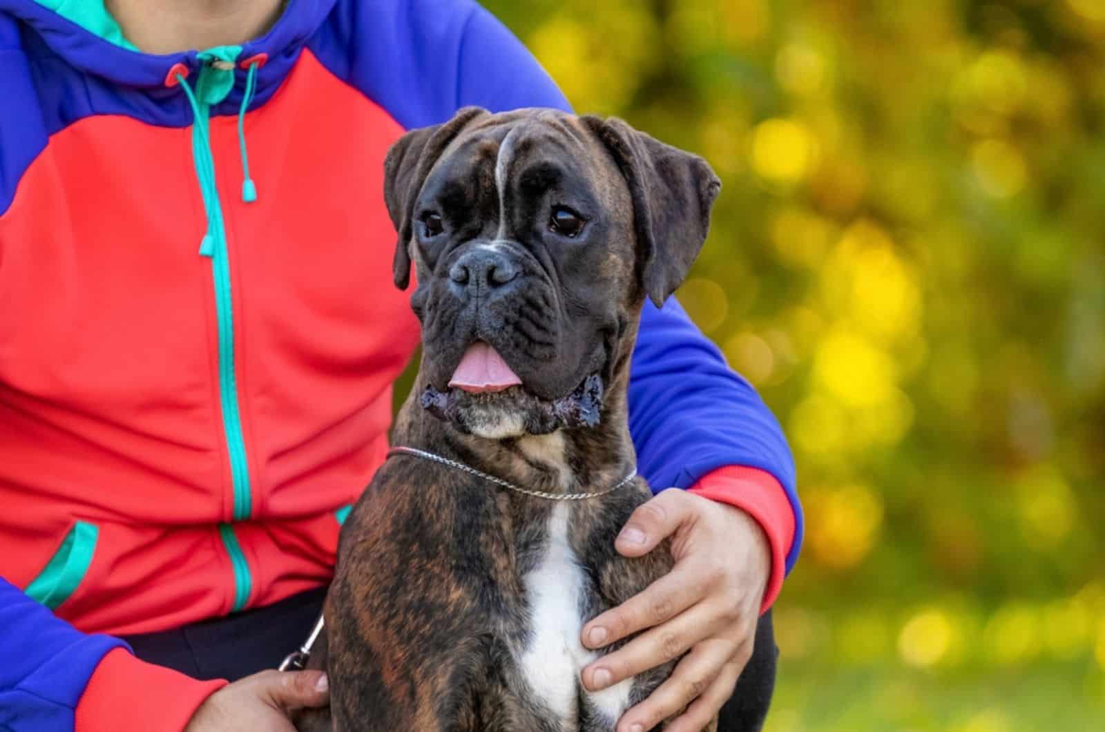 a man hugging his boxer dog in the park