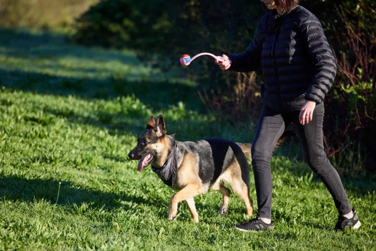 a woman trains a German shepherd with a ball