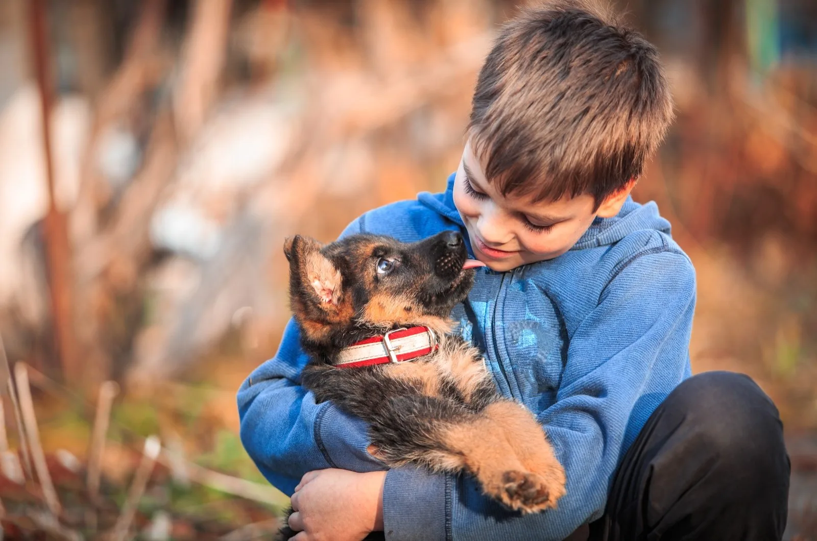 boy holding German Shepherd puppy