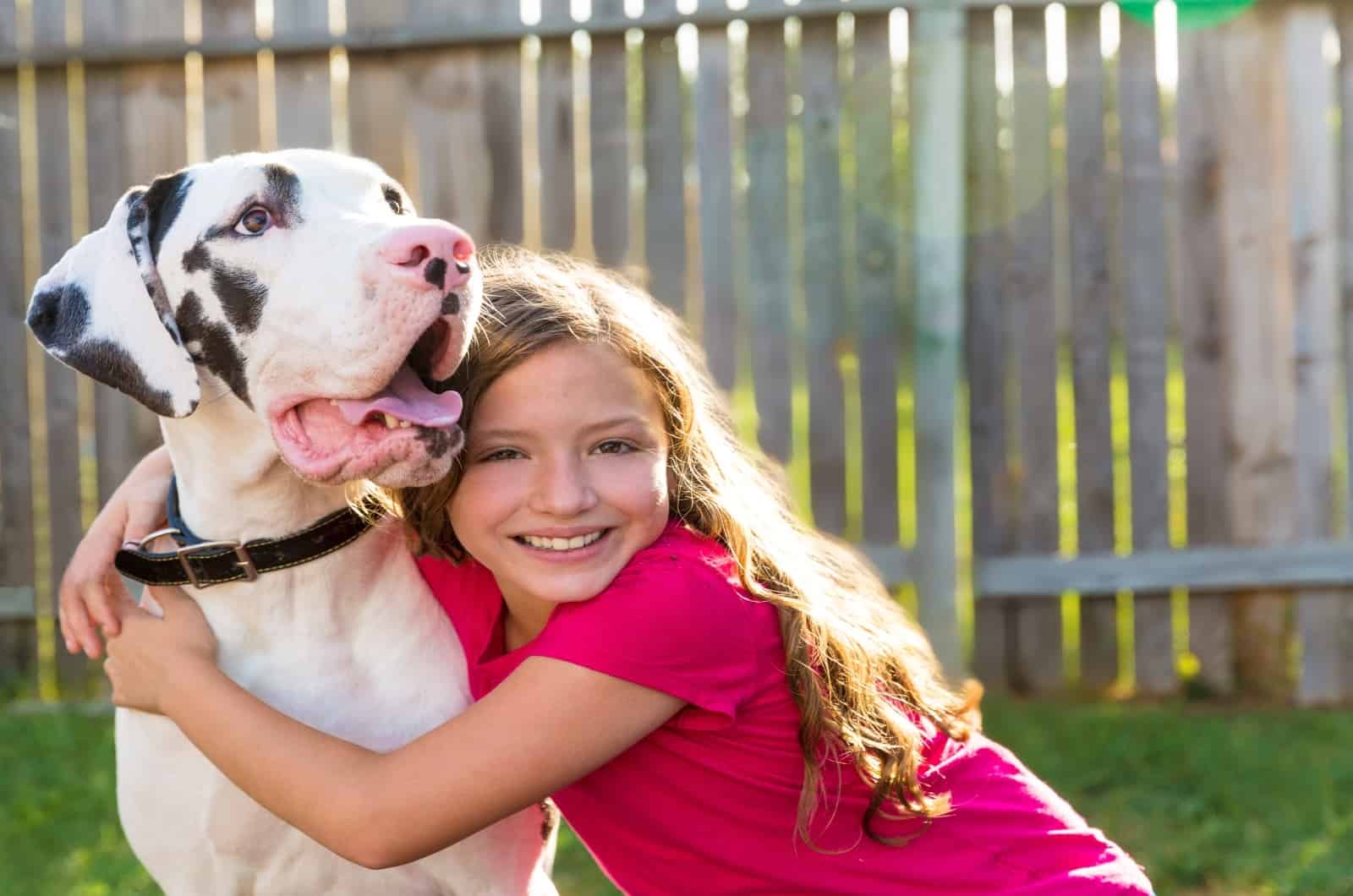 cute girl hugging Great Dane