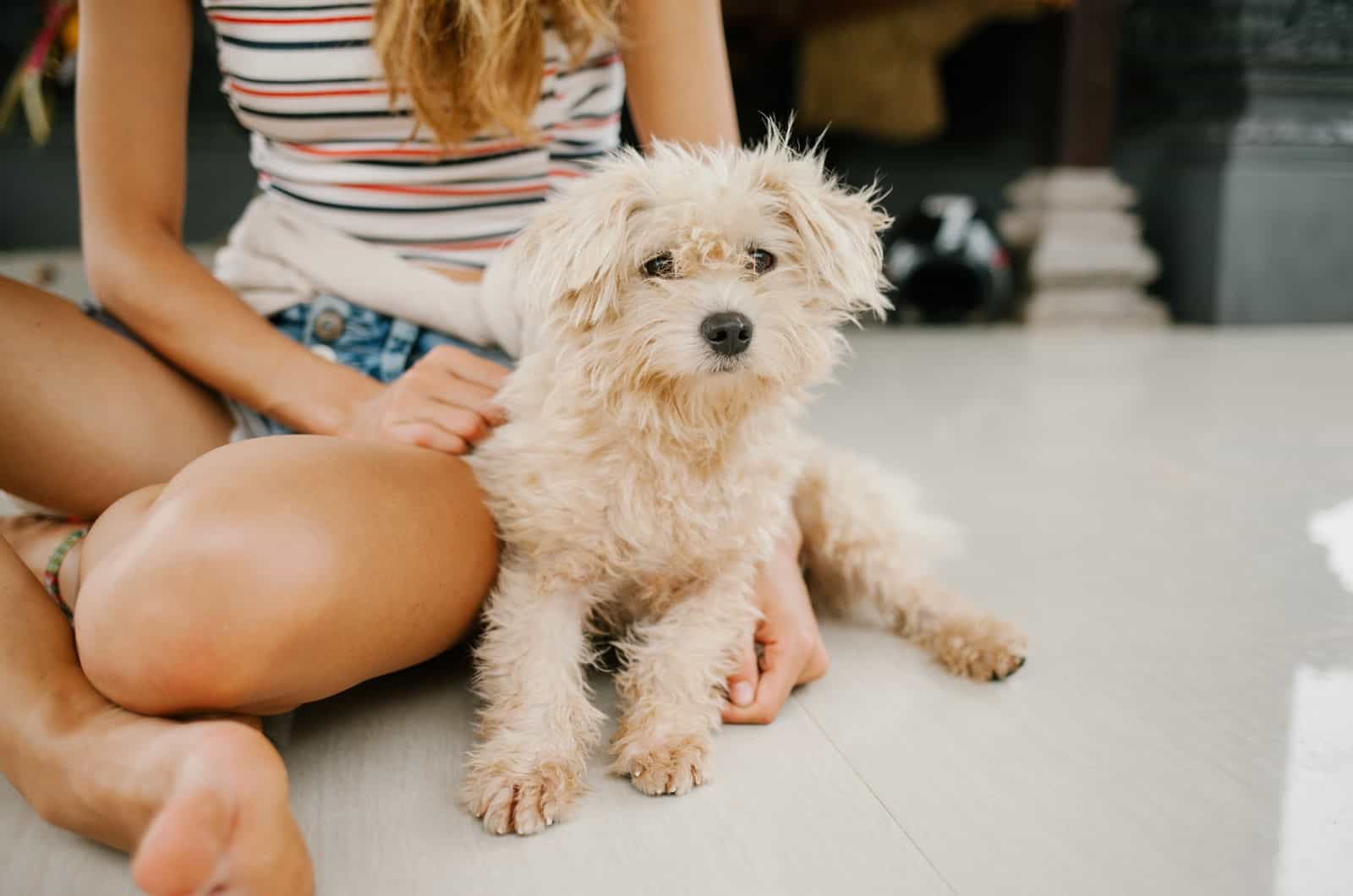 dog sitting next to a girl