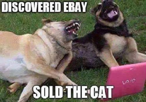 german shepherd meme ebay