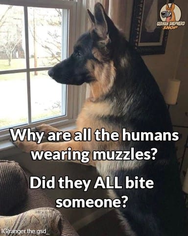 german shepherd meme human muzzles