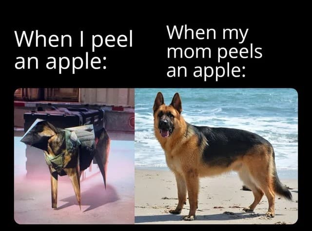 german shepherd meme me vs mom
