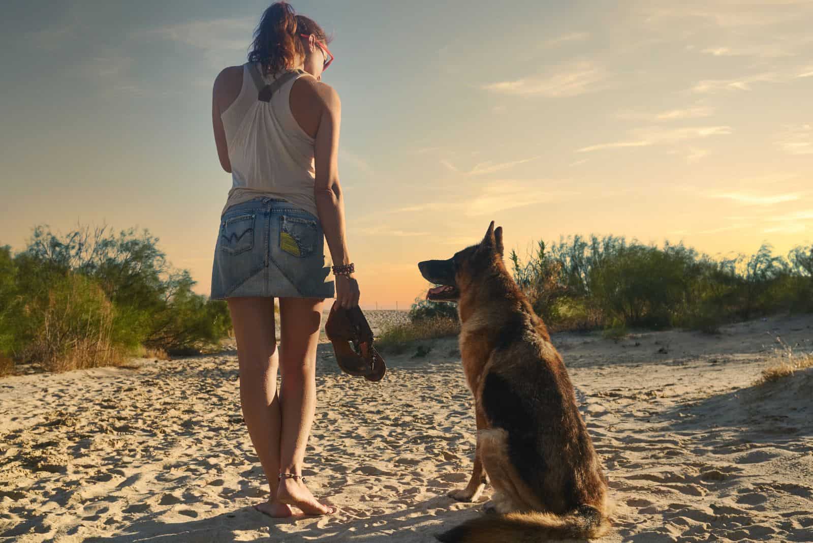 german shepherd sitting on the sand and looking at the woman