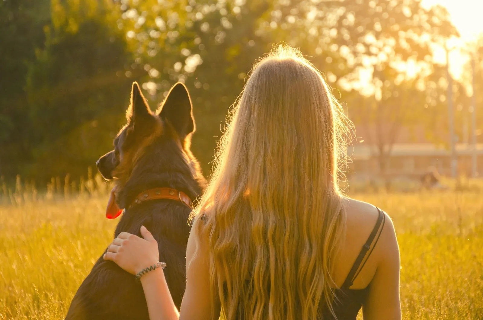 girl and her German Shepherd