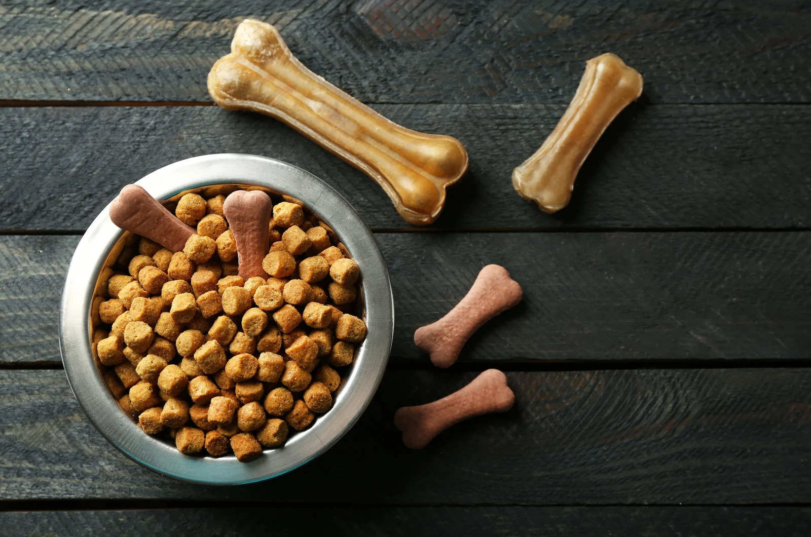 grey background and bowl with dog food