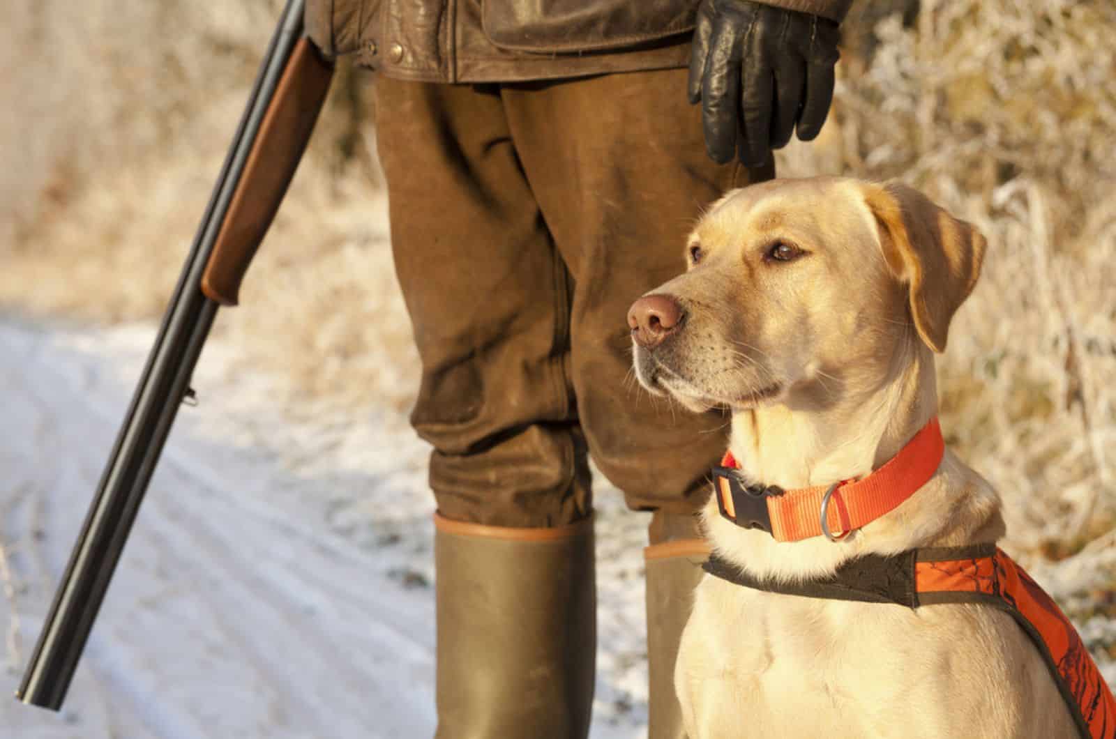 hunter with his dog labrador retriever
