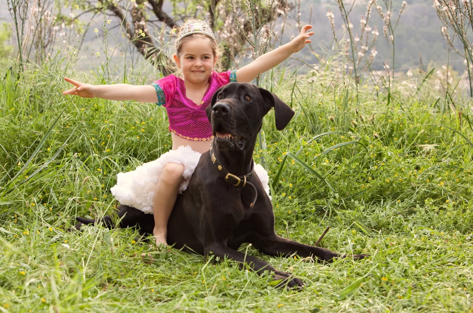Are Great Danes Good With Kids A Guide For Families