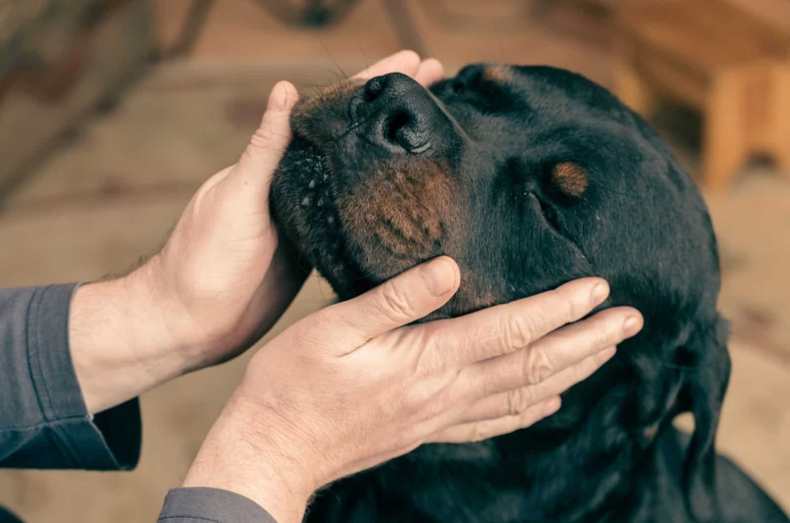 man cuddling his rottweiler in the living room