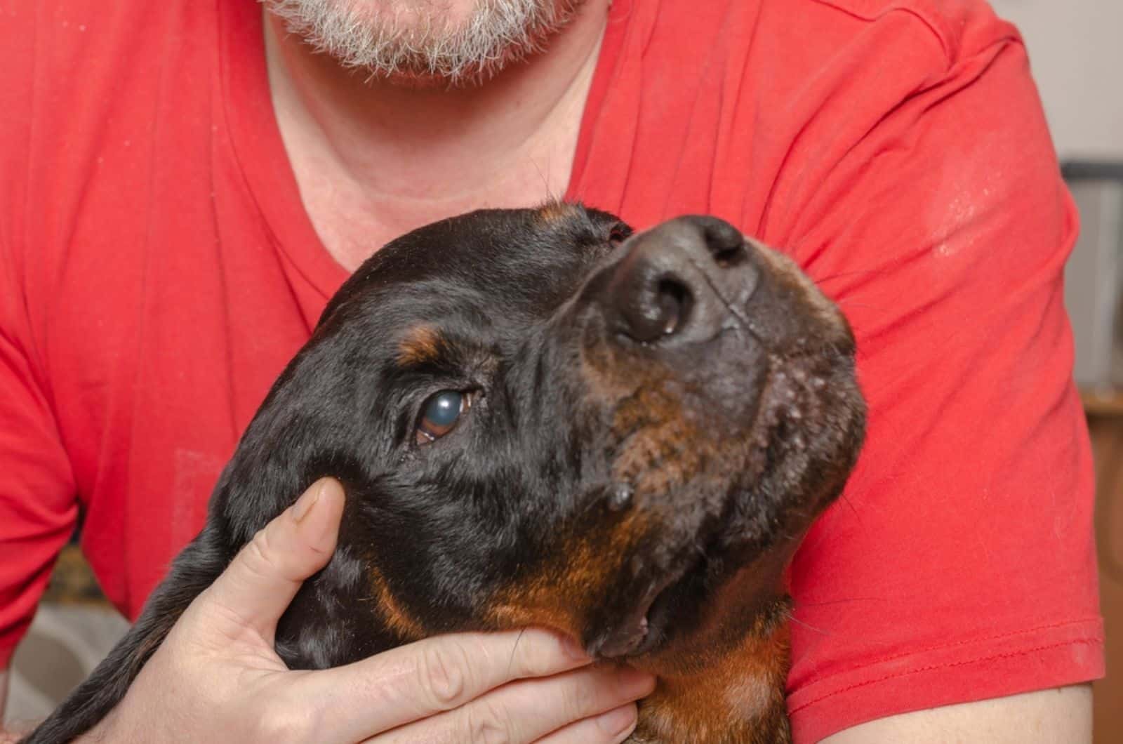 man hugging his dog rottweiler