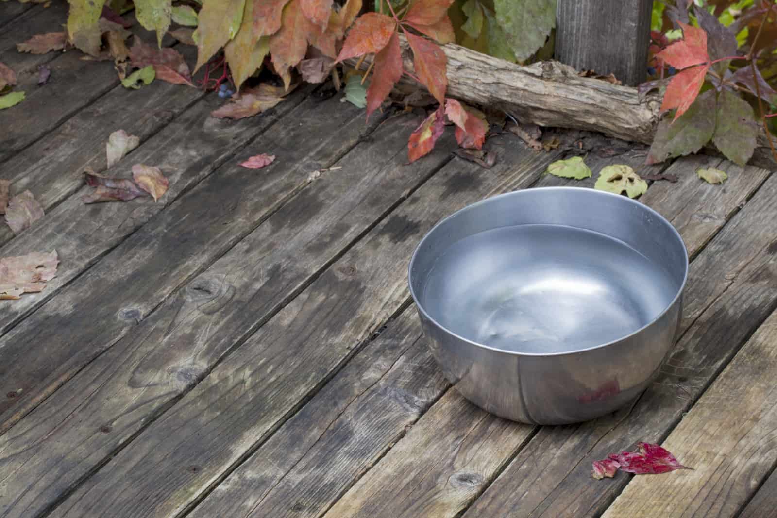 metal water bowl for a dog on wooden deck with vine foliage