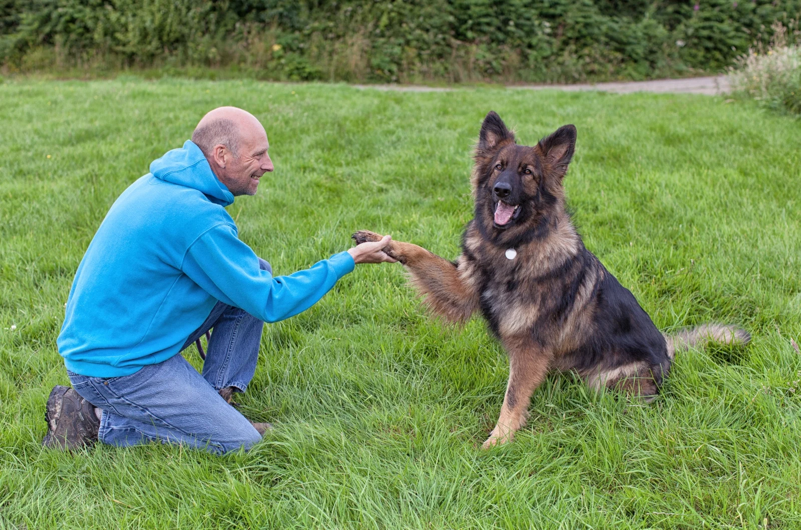 owner holding dog's paw