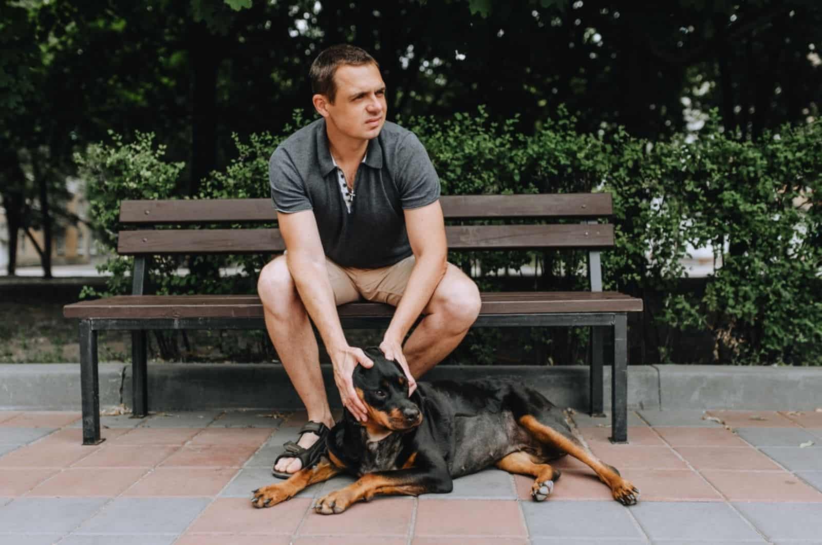 rottweiler dog and his owner in the park