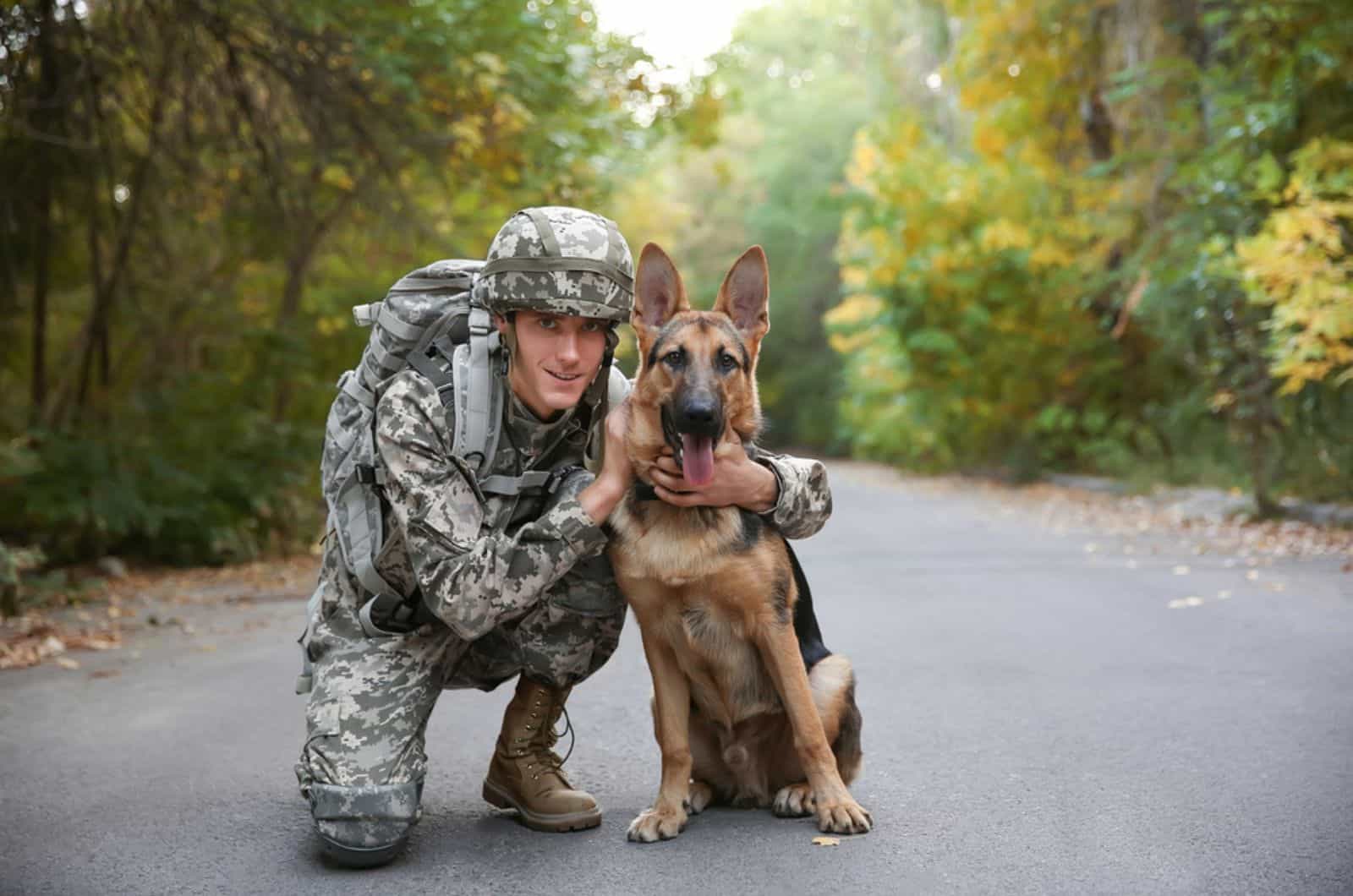 soldier with german sheherd dog on the road