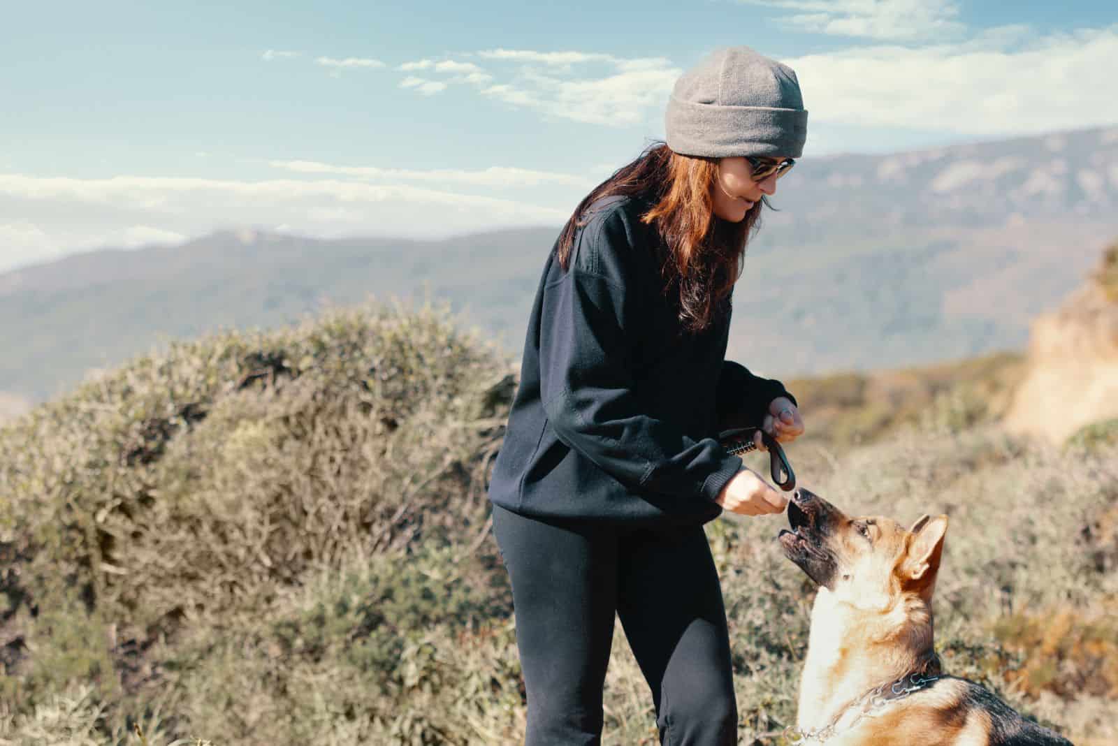 the woman rewards the German shepherd with a treat