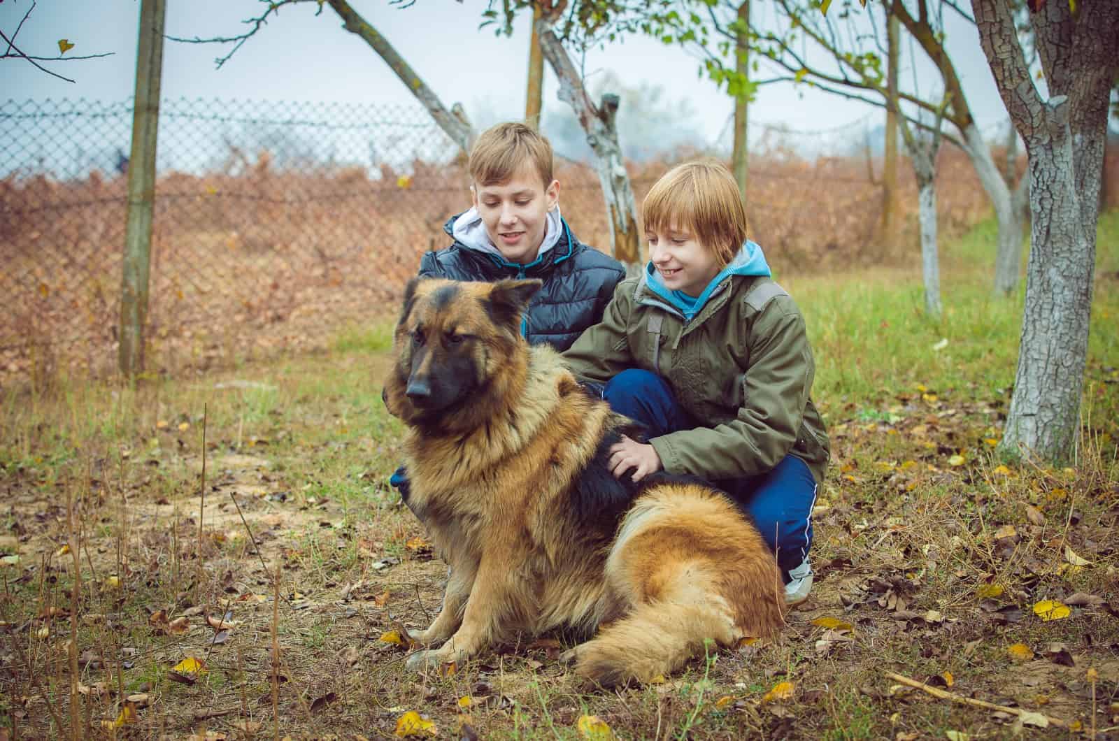 two boys with German Shepherd
