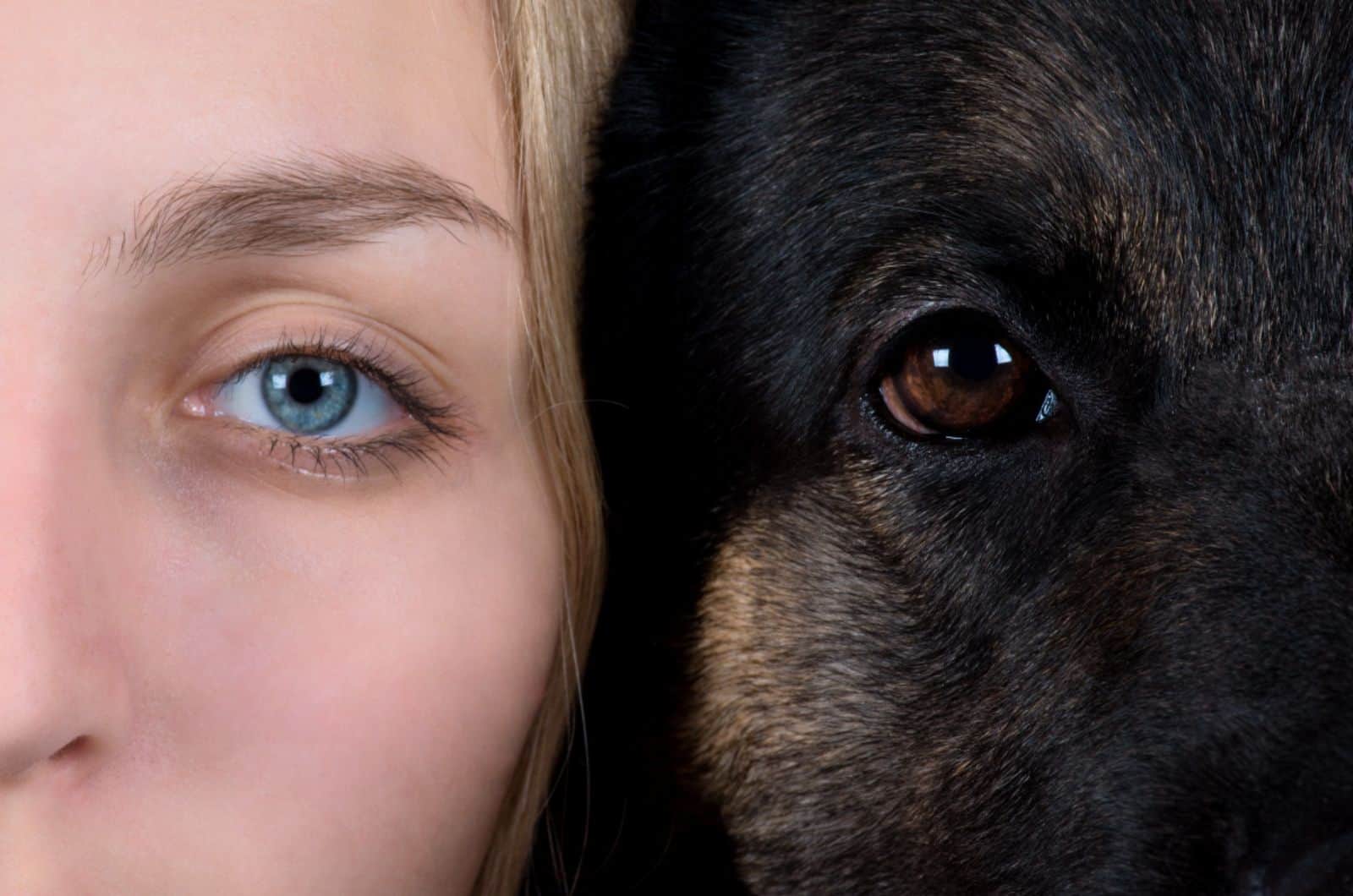 woman and german shepherd posing face to face, eyes close-up