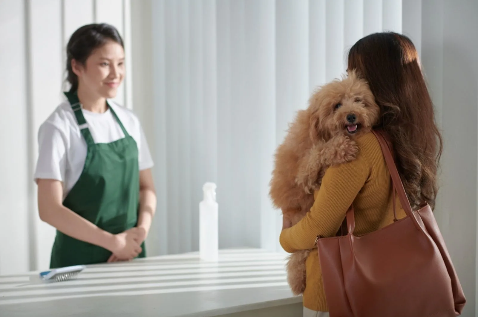 woman holding her dog in front while standing in front professional groomer