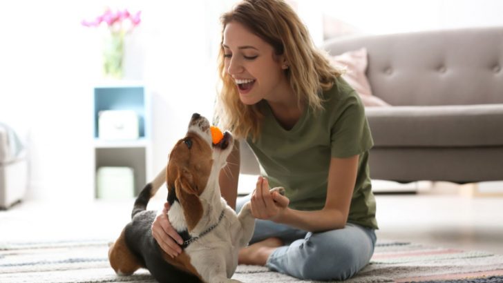 10 Friendliest Dog Breeds That Will Make Your Social Life Pawesome
