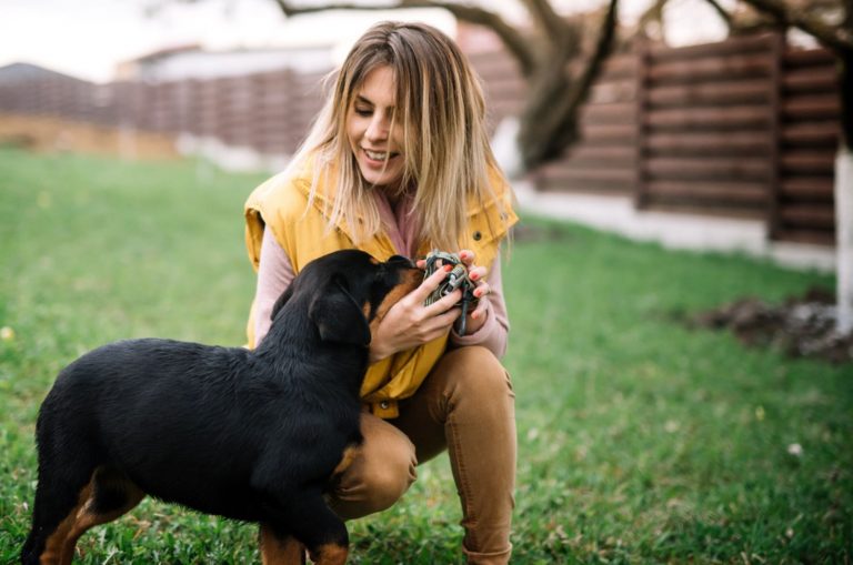 woman training and playing with rottweiler puppy