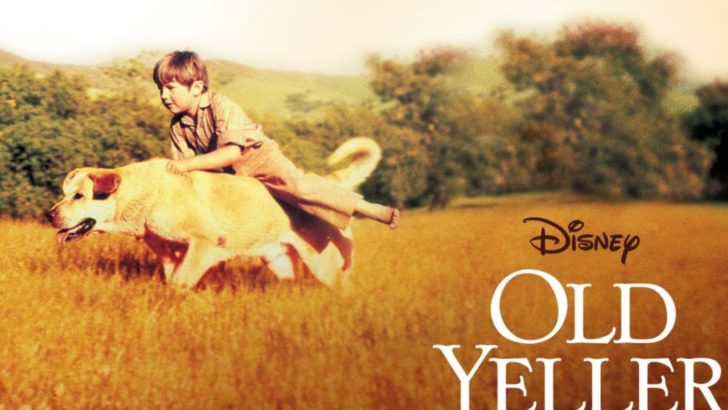 21 Best Dog Movies Of All Time That You Need To Watch