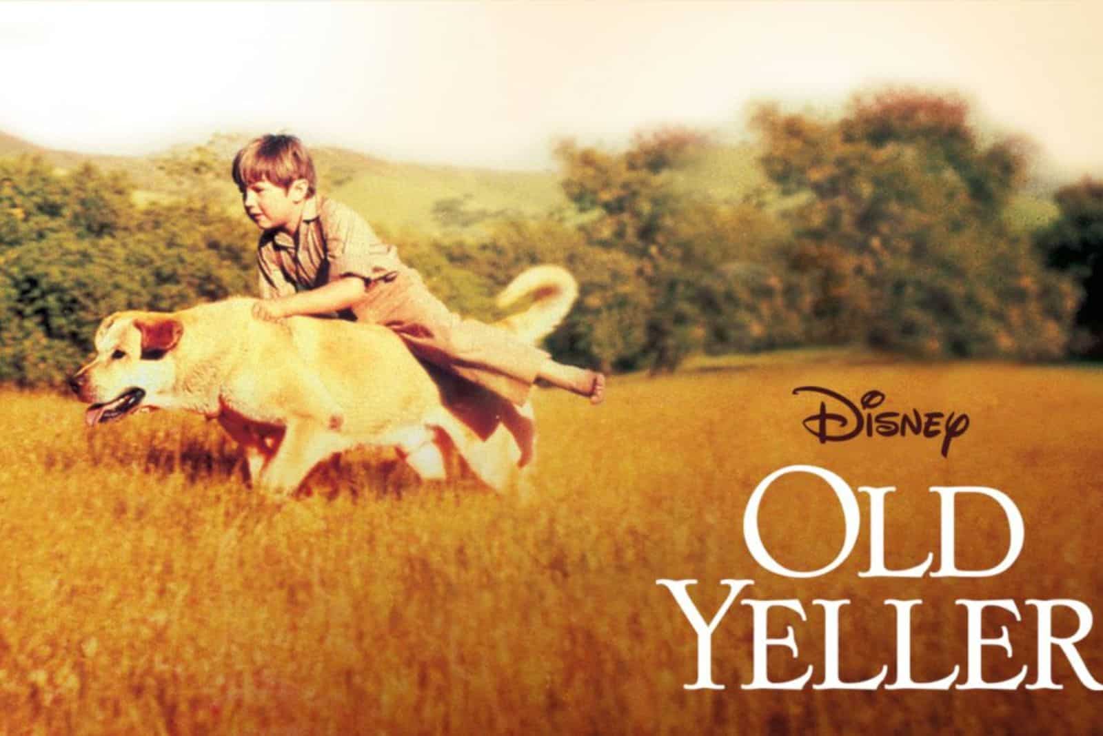 Vieux film Yeller