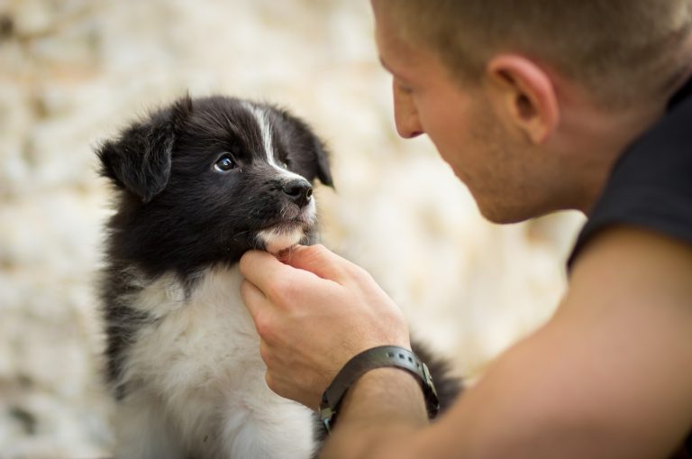 man looking at his dog