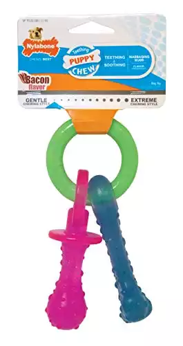 Nylabone Puppy Chew Teething Pacifier