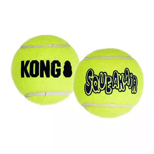 KONG Air Dog Squeakair Dog Toy