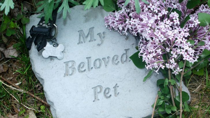 5 Beautiful Ways To Keep The Memory Of Your Dog Alive