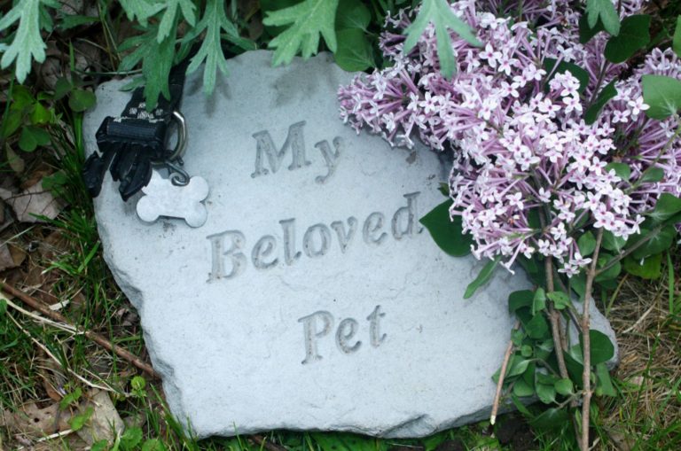 pet memorial