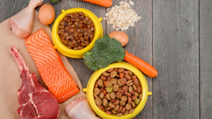 Feed This To Your Dog If You Want Him To Live Longer