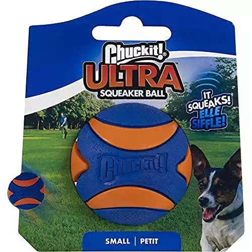 ChuckIt! Ultra Squeaker Ball