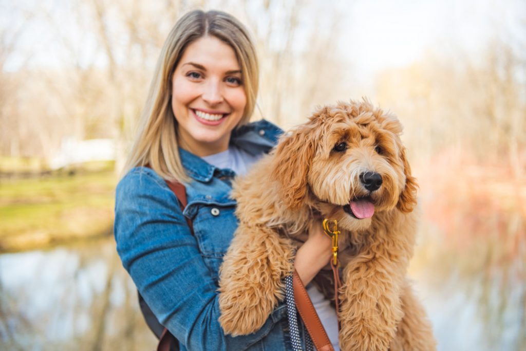 Happy Labradoodle Dog and woman outside at the park