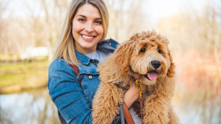 7 Eye-Opening Reasons Why You Should Never Own Labradoodles