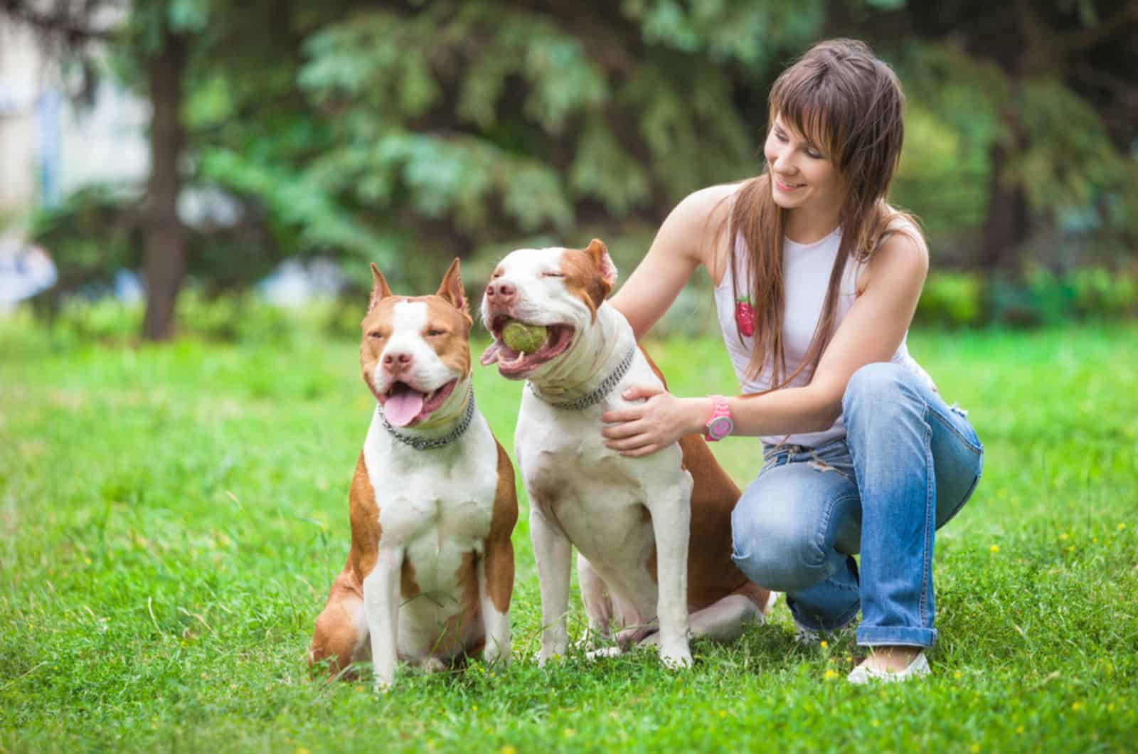 woman with two pitbulls in the park