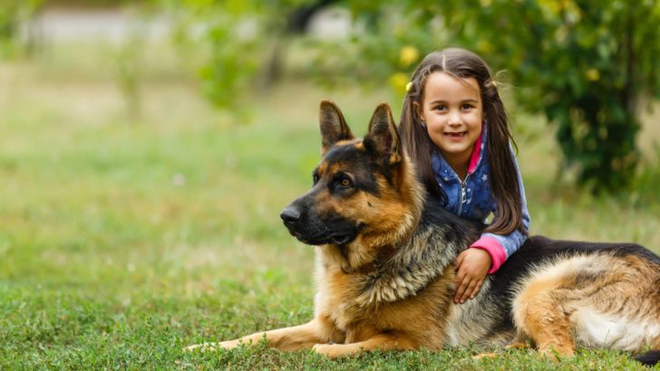 9 Benefits Of Having A German Shepherd: Let’s Find Out