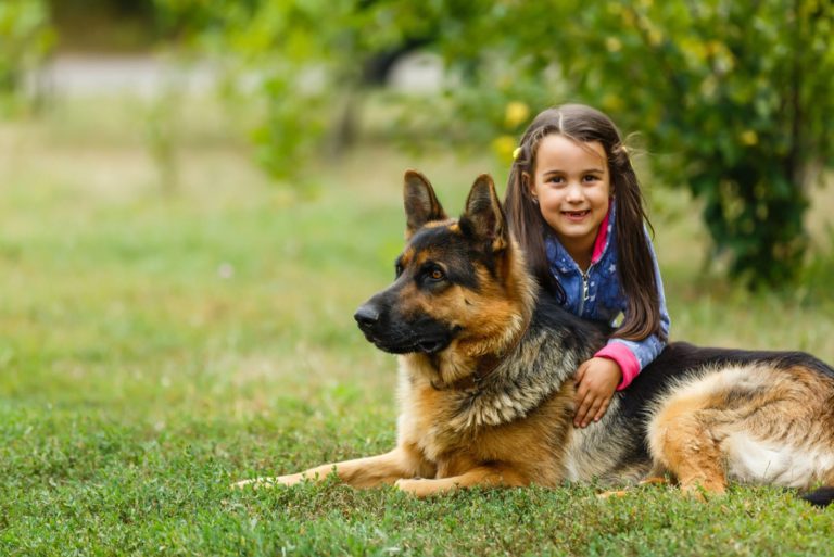 cute little girl sitting with german shepherd dog