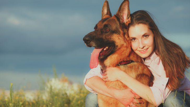 9 Things I Can’t Do Since Owning A German Shepherd