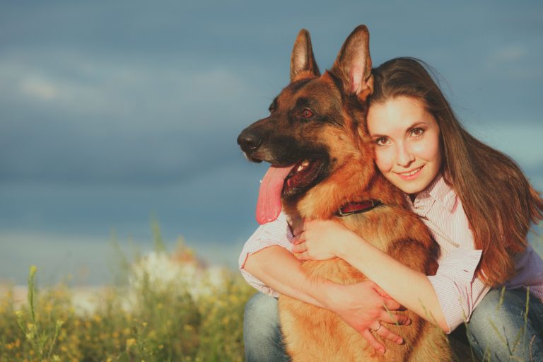 Young beautiful girl with a German shepherd playing on the lawn at the day time