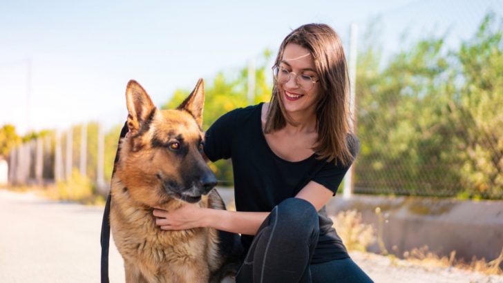 9 Things Only German Shepherd Owners Understand