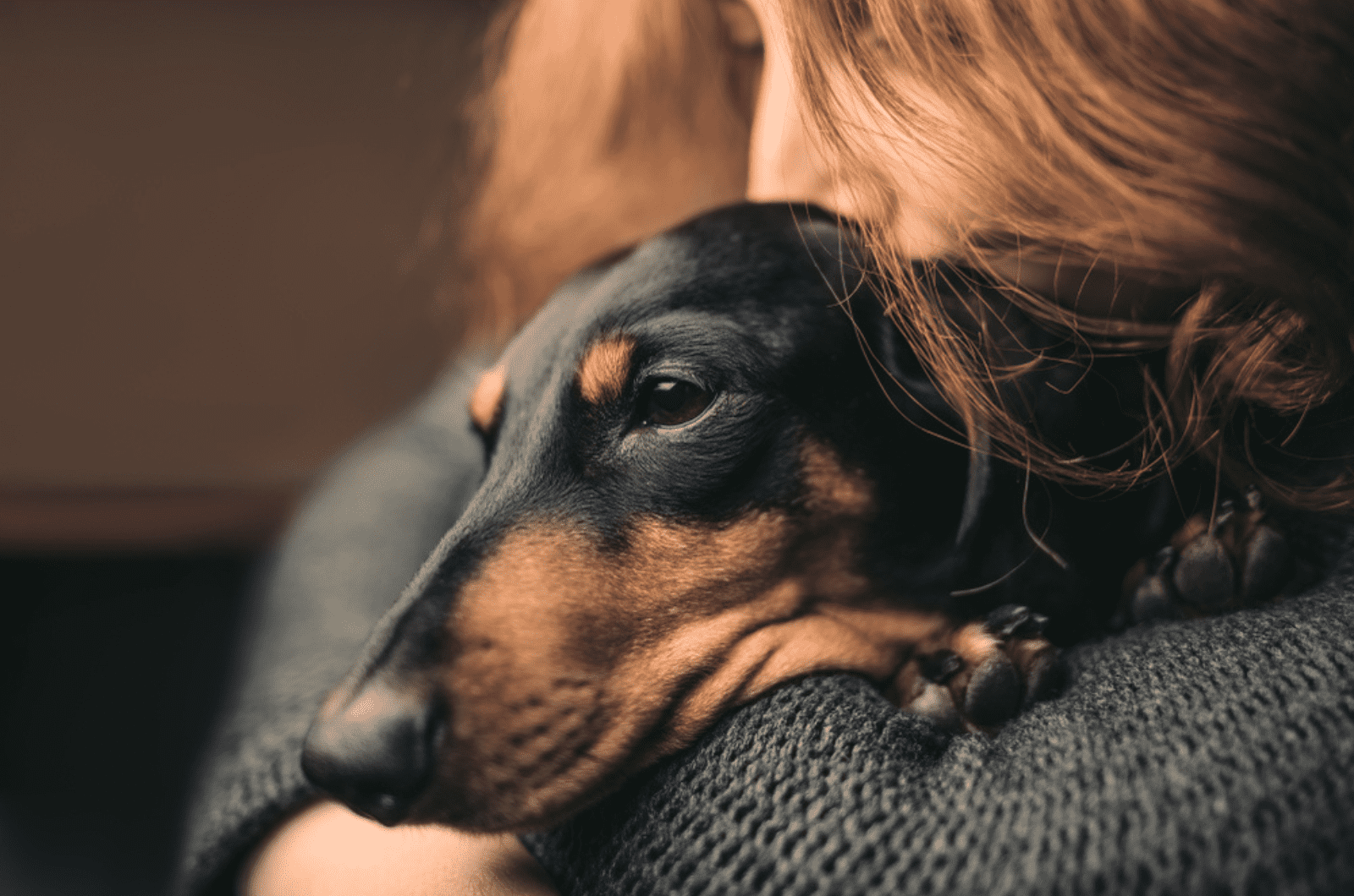 woman hugging her duchshund dog