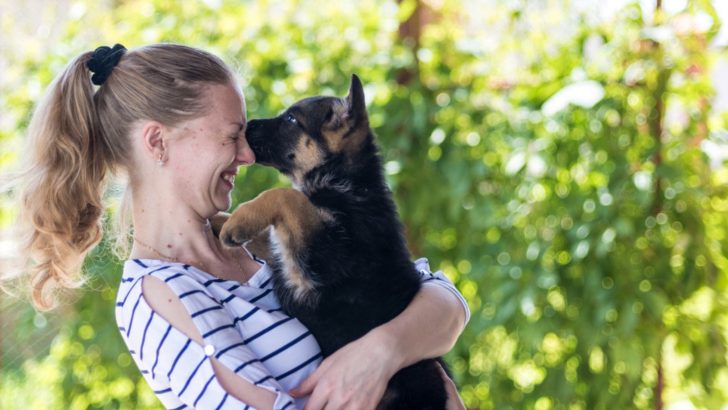 9 Tips For First-Time German Shepherd Owners