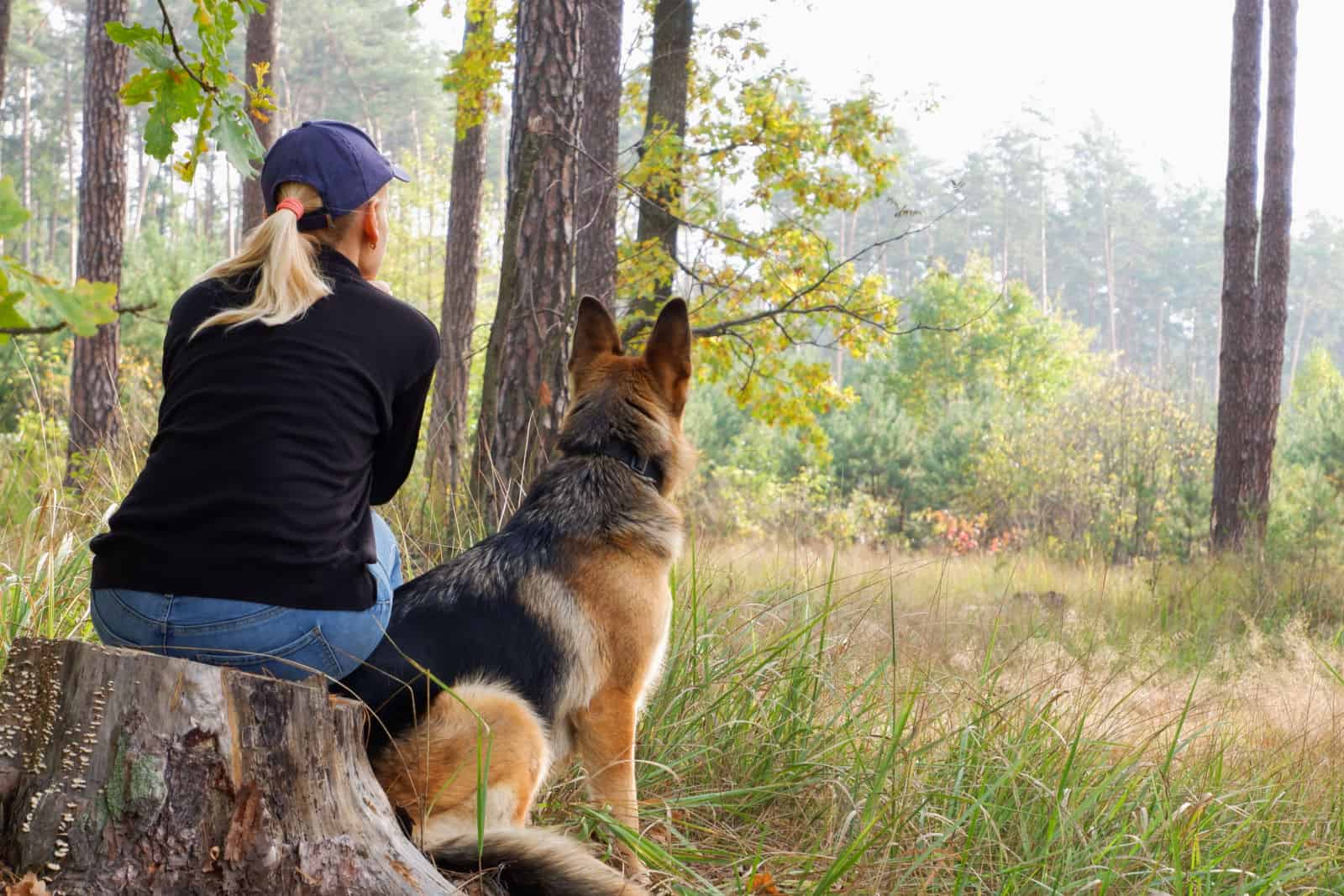 A woman with a dog are sitting on a self-isolation walk on the background of an autumn forest