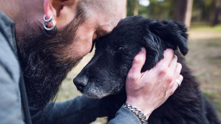 Do Dogs Know When Their End Is Coming?