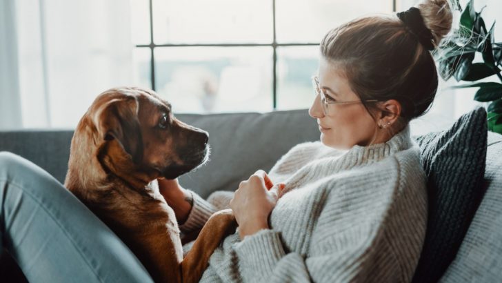 Does My Dog Know How Much I Love Him, And How Do I Prove My Love?